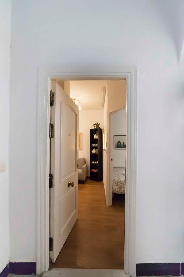 Appartement Sf - Shiny In Centre